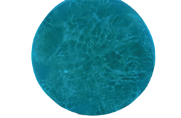 Aromatic Loofah Soap with Dead Sea Minerals