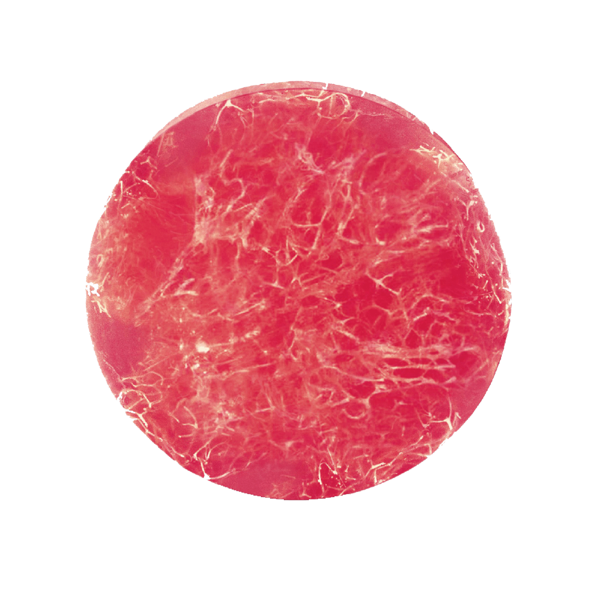 Pomegranate Loofah Soap with Dead Sea Minerals