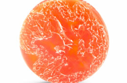 Grapefruit Essential Oil Loofah Soap with Dead Sea Minerals