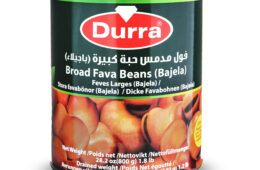 Broad Fava Beans (Bajela)